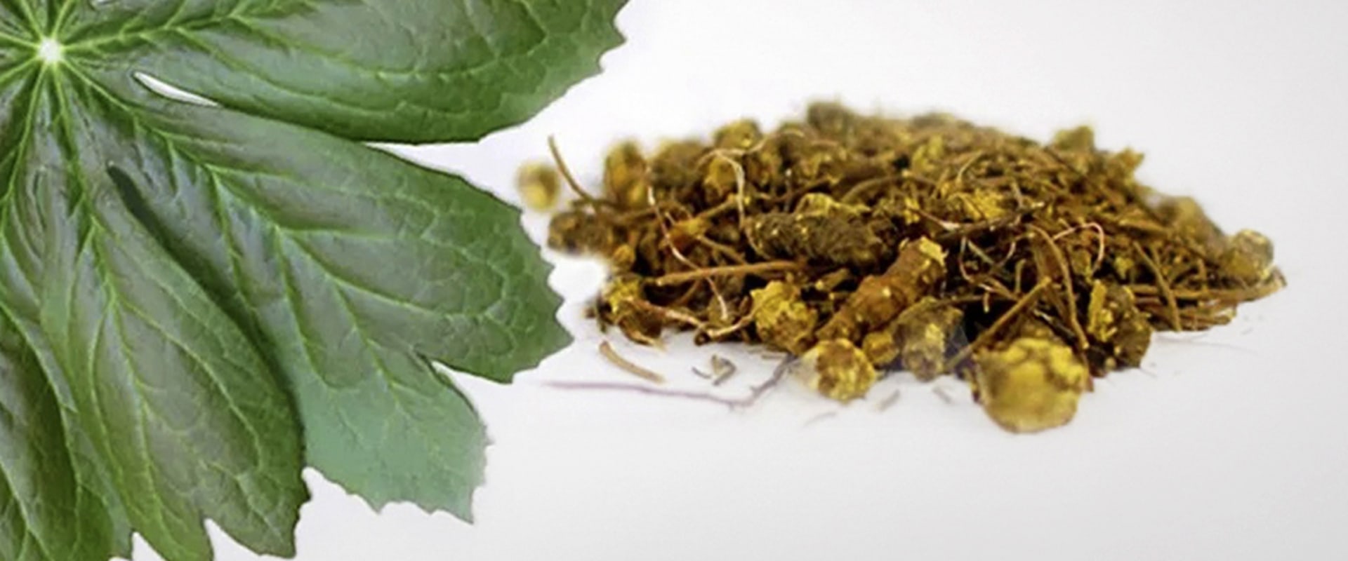 The Truth About Goldenseal and Its Effects on the Heart: An Expert's Perspective